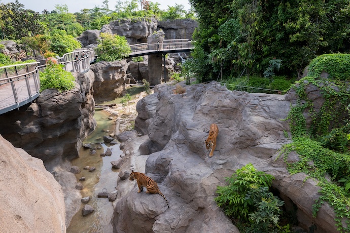 Experience the Best of Singapore in 4 Days - Enjoy a wild day out at Mandai Wildlife Reserve